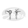GATES T38344 Tensioner Pulley, v-ribbed belt