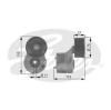 GATES T38431 Tensioner Pulley, v-ribbed belt