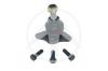 SIDEM 19189 Ball Joint