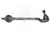 SIDEM 21273 Track Control Arm