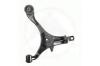 SIDEM 47075 Track Control Arm
