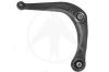 SIDEM 53071 Track Control Arm