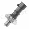 CALORSTAT by Vernet 3573 Oil Pressure Switch