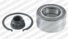 SNR R169.75 (R16975) Wheel Bearing Kit