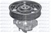DOLZ S233 Water Pump