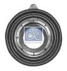 DT 2.40123 (240123) Seal, brake caliper piston