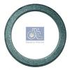 DT 4.20403 (420403) Shaft Seal, crankshaft
