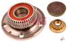 FAG 713610220 Wheel Bearing Kit