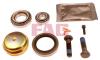 FAG 713667450 Wheel Bearing Kit
