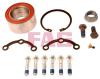 FAG 713667590 Wheel Bearing Kit