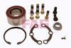 FAG 713667860 Wheel Bearing Kit