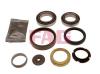 FAG 713667520 Wheel Bearing Kit