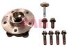 FAG 713660490 Wheel Bearing Kit