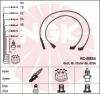 NGK 9296 Ignition Cable Kit