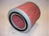 ASHIKA 20-01-191 (2001191) Air Filter