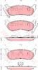 TRW GDB4139 Brake Pad Set, disc brake