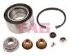 FAG 713610040 Wheel Bearing Kit