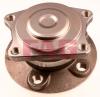 FAG 713660280 Wheel Bearing Kit