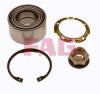 FAG 713630840 Wheel Bearing Kit