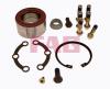 FAG 713667710 Wheel Bearing Kit