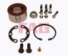 FAG 713667730 Wheel Bearing Kit