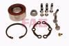 FAG 713667880 Wheel Bearing Kit
