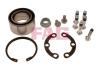 FAG 713667550 Wheel Bearing Kit