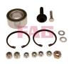 FAG 713610170 Wheel Bearing Kit