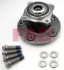 FAG 713667930 Wheel Bearing Kit