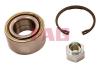 FAG 713644830 Wheel Bearing Kit