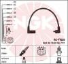 NGK 7171 Ignition Cable Kit