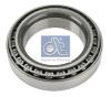 DT 1.17247 (117247) Bearing, differential shaft