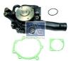 DT 4.61919 (461919) Water Pump