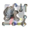 RTS 93-00966-256 (9300966256) Ball Joint