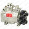DELPHI TSP0155019 Compressor, air conditioning