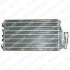 DELPHI TSP0525090 Evaporator, air conditioning