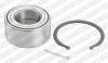 SNR R184.13 (R18413) Wheel Bearing Kit