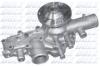 DOLZ R161 Water Pump