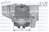 DOLZ C119 Water Pump