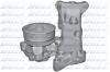 DOLZ S222ST Water Pump