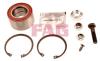 FAG 713610180 Wheel Bearing Kit