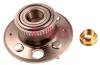 FAG 713617110 Wheel Bearing Kit