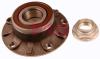 FAG 713667190 Wheel Bearing Kit