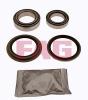 FAG 713626110 Wheel Bearing Kit