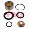 FAG 713613490 Wheel Bearing Kit