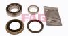 FAG 713660230 Wheel Bearing Kit