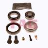 FAG 713667350 Wheel Bearing Kit