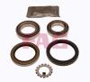 FAG 713667390 Wheel Bearing Kit
