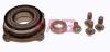 FAG 713667840 Wheel Bearing Kit
