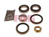 FAG 713650310 Wheel Bearing Kit